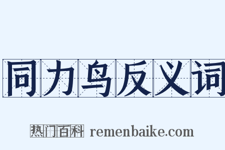 同力鸟反义词是什么意思的图片